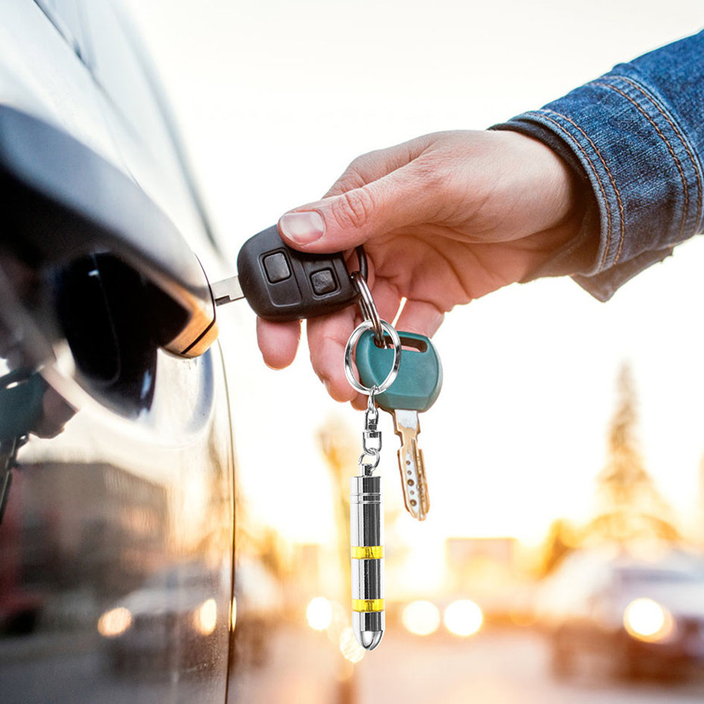 2Pcs Anti Static Keychain For  - Car Accessories For Winter review and price